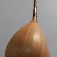 قوپوز ساز استادپاشازاده|سازهای سنتی|تبریز, |دیوار