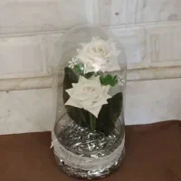 گل وگلدان|صنایع دستی و سایر لوازم تزئینی|قم, صفاشهر|دیوار