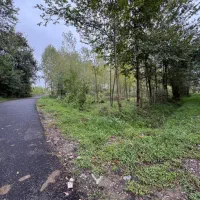 ۳۳۶متر زمین دو بر تمام مسکونی (سند تک برگ)