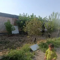 باغ ویلا 500متر ملکی