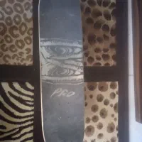 اسکیت برد|دوچرخه، اسکیت، اسکوتر|شاهین‌شهر, اقبال لاهوری|دیوار