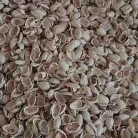 خریدار پوست پسته خورده و عمده