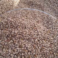 لوبیا چیتی درجه یک|خوردنی و آشامیدنی|اصفهان, فرودگاه شهید بهشتی|دیوار