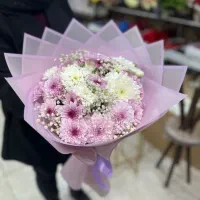 طبیعی|گل و گیاه طبیعی|ارومیه, |دیوار