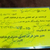 دوچرخه برقی ثمین مدل 98|دوچرخه، اسکیت، اسکوتر|مشهد, شیرودی|دیوار