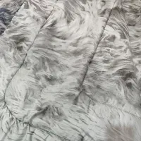 روتختی نوی‌ نو