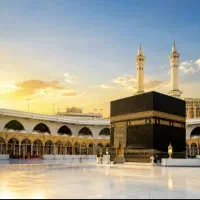 خرید فیش