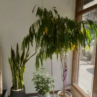 آپارتمان ۱۰۰ متری پارکینگ اختصاصی