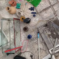 آکواریوم و وسایل های آکواریوم|ماهی|سنقر, |دیوار