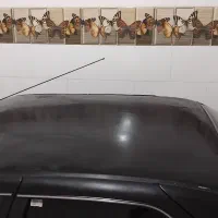 پارس سال مدل ۸۲ درجه یک|خودرو سواری و وانت|چاه ورز, |دیوار