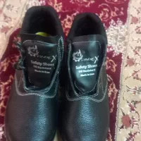 کفش کار نو نو
