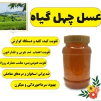 فروش ویژه عسل طبیعی عمده|خوردنی و آشامیدنی|تهران, دانشگاه شریف|دیوار