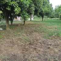 زمین سند دار