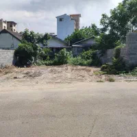 فروش یک قطعه زمین در خیابان گلسرخی