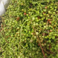 خرید فروش خشکبار کلی وجزعی. عرقیات خانگی همه نوع