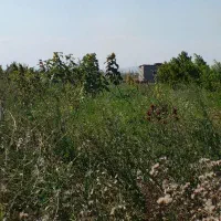 زمین باغ گیلانده|فروش دفتر صنعتی، کشاورزی، تجاری|اردبیل, |دیوار