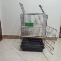 قفس عروس هلندی
