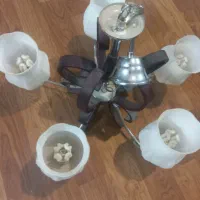۲عددلوستر طرح لاله ۶ شاخه