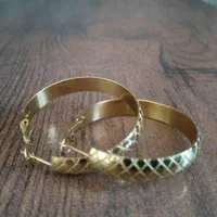 گوشواره ضد حساسیت