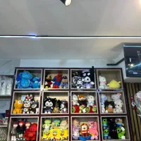 قفسه و استند چوبی