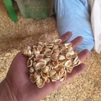 25تن پوست برای فروش