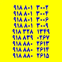 ۹۱۸.۸۰۱.۳۰۰۲ خط خشک نقدواقسط