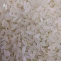 فروش برنج کامفیروزی درجه یک خانیمن
