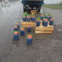 شیره انگور دیمی سردشت