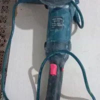 مینی فرزباس
