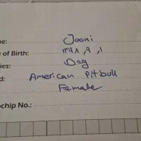 واگذاری سگ|سگ|تهران, ایوانک|دیوار