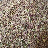 مغز پسته. مغز بادام. بلوط