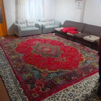 فرش|فرش|رامسر, |دیوار