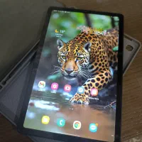 تبلت سامسونگp615 (tab s6 lite)با قلم اورجینال ۶۴/۴|تبلت|مشهد, زیبا شهر|دیوار