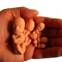 اهداتخمک،جایگزینی واجاره رحم