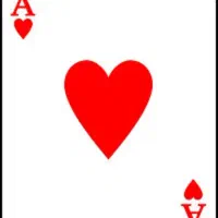 انجام فال قهوه و تاروت باهم۲۳۰ هزار تومان|خدمات پذیرایی، مراسم|شیراز, شهرک مهدیه|دیوار