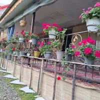 ویلا جنگلی