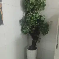 گل و گیاه|گل مصنوعی|اهواز, اسلام آباد شرقی|دیوار