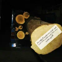 خرید و فروش چوب