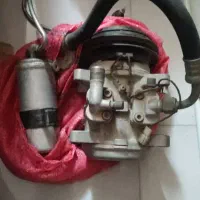 ژاپنی اصل