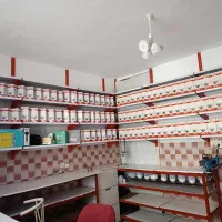 لامپ نوراکس به قیمت کارخانه در قشلاق جیتو