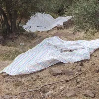 استخدام نیرو
