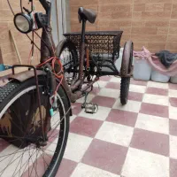 سه چرخه زنانه ایتالیایی 6 دنده