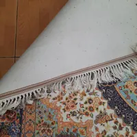 فرش نمدی|گلیم، جاجیم، گبه|رشت, کاکتوس|دیوار