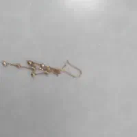 گمشده
