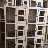 جفتزن کفتر و انواع قفس چوبی|لوازم جانبی حیوانات|مراغه, |دیوار