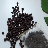 فروش کلی و جزئی قهوه با ارسال رایگان در گیلان|کافی‌شاپ و رستوران|رشت, بازار|دیوار