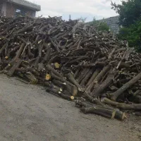 (چوب شما را خریداریم