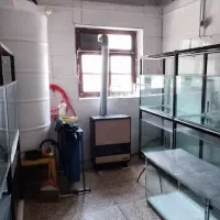 آکواریوم ۱۰۰لیتری تمیز