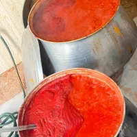 رب و سبزی خانگی