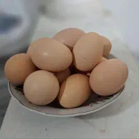 تخم مرغ رسمی